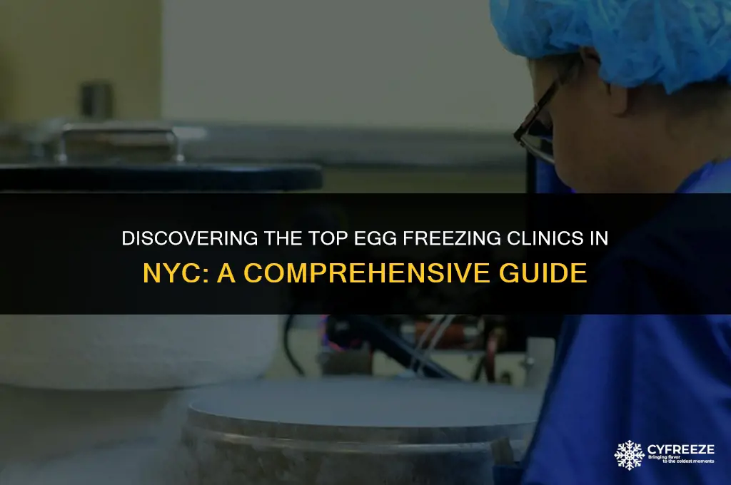 which is the best egg freezing clinic in nyc