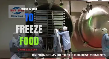 Effective Methods and Tools Used to Freeze Food Safely and Efficiently