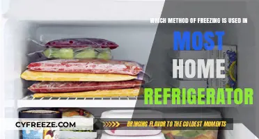 How Home Refrigerators Freeze Food: The Common Method Explained