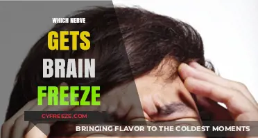 Brain Freeze Explained: The Nerve Behind the Icy Headache Sensation