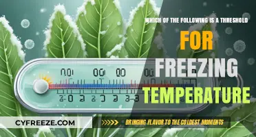 Understanding the Critical Threshold for Freezing Temperatures: Key Insights