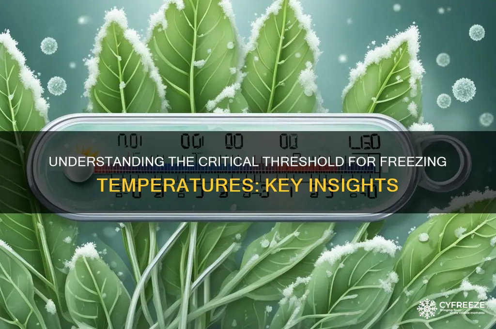 which of the following is a threshold for freezing temperature