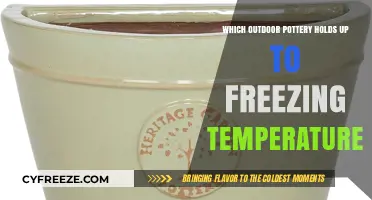Best Outdoor Pottery for Freezing Temperatures: Durable and Frost-Resistant Options
