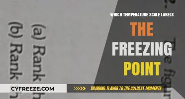 Freezing Point Temperature Scale: Which System Labels 0° Accurately?