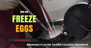 Egg Freezing Options: Who Can Benefit from This Fertility Preservation Method?