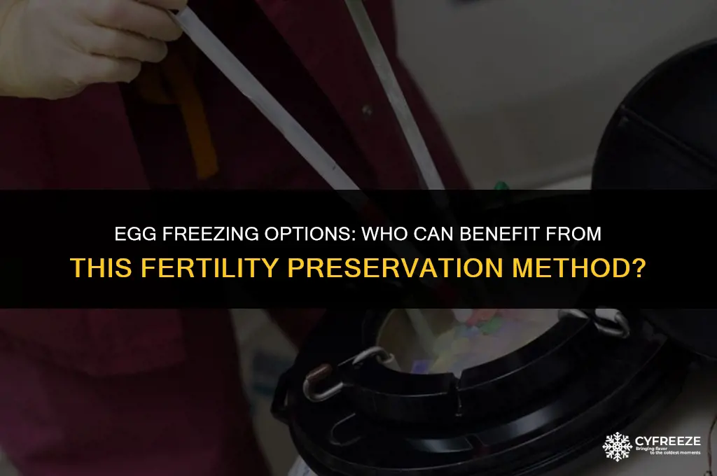 who can freeze eggs