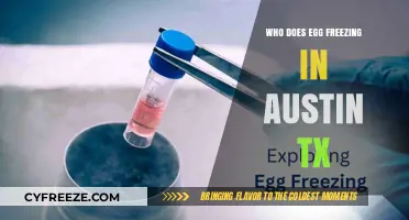 Egg Freezing Options in Austin, TX: Who's Leading the Way?