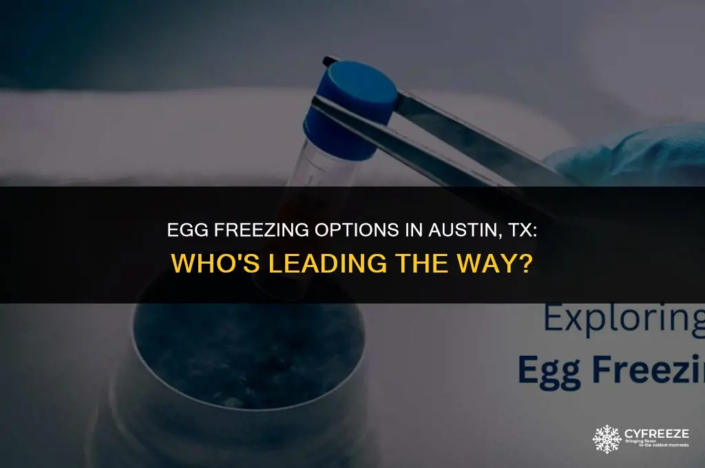 who does egg freezing in austin tx