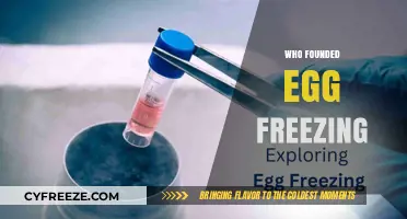 Pioneering Parenthood: The Inception of Egg Freezing Technology
