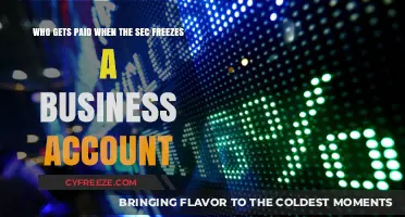SEC Account Freeze: Who Receives Payments During Business Account Suspension?