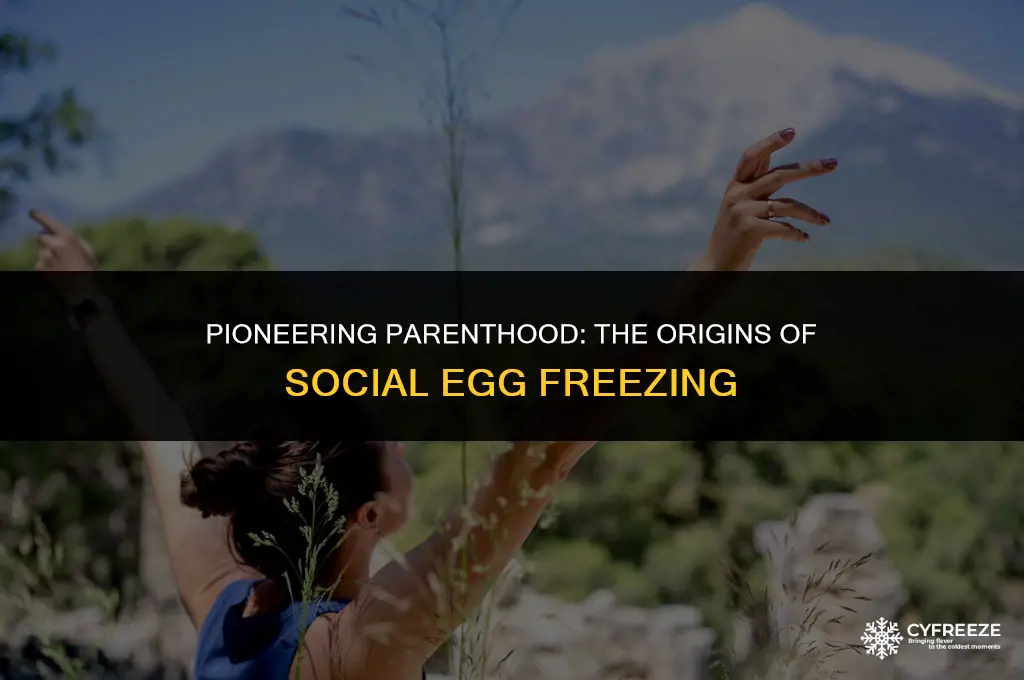 who invented social egg freezing