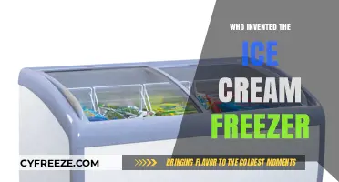 Revolutionizing Desserts: The Genius Behind the Ice Cream Freezer