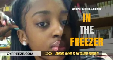 Unraveling the Mystery: Who Put Kenneka Jenkins in the Freezer?