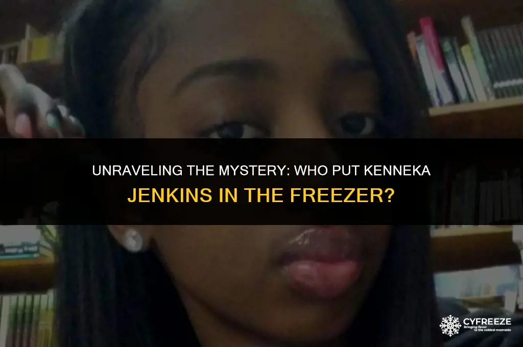 who put kenneka jenkins in the freezer