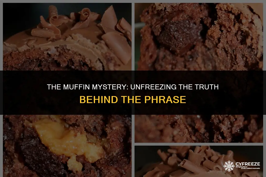 who put the muffins in the freezer meaning