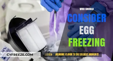 Considering Egg Freezing: A Guide for Those Planning Their Future Family