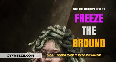 Mythical Power: Medusa's Head Freezes Ground in Ancient Legends