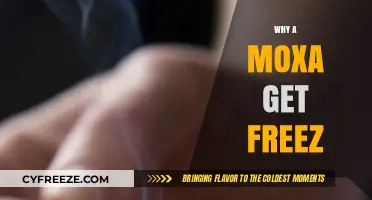 Understanding Why Moxa Gets Frozen: Causes and Solutions Explained