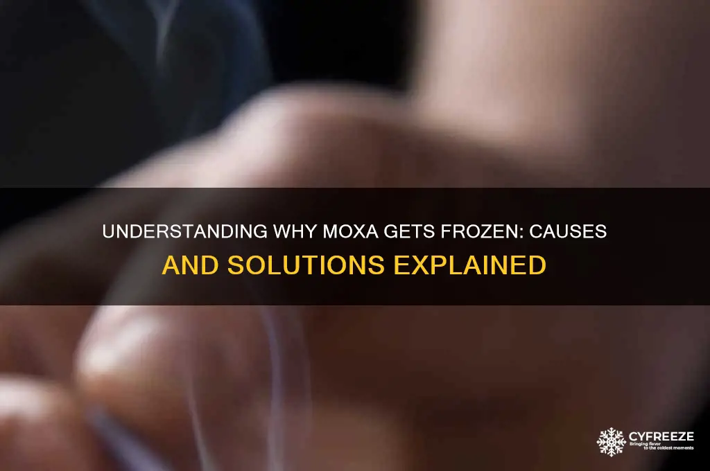 why a moxa get freez