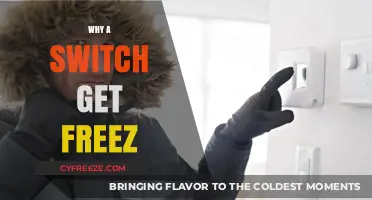 Why Your Switch Freezes: Common Causes and Quick Fixes