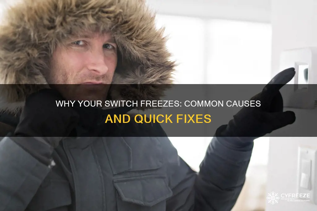 why a switch get freez