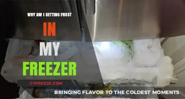 Why Frost Builds Up in Your Freezer: Causes and Solutions