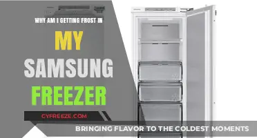 Frost in Your Samsung Freezer? Common Causes and Quick Fixes