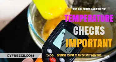 Why Fridge and Freezer Temperature Checks Are Crucial for Food Safety