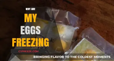 Understanding Egg Freezing: Causes and Solutions for Your Kitchen Dilemma