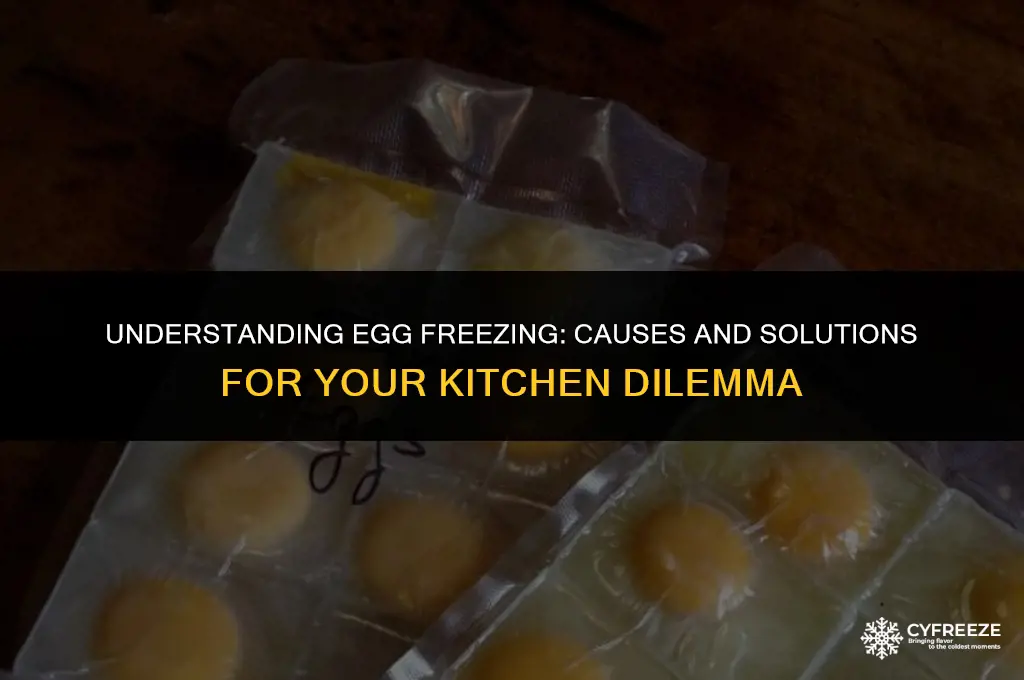 why are my eggs freezing