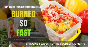 Preventing Freezer Burn: Tips to Keep Frozen Foods Fresher Longer