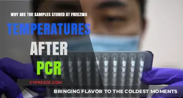 Freezing PCR Samples: Preserving Integrity and Ensuring Accurate Results