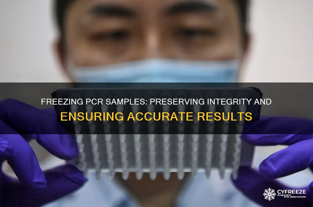 why are the samples stored at freezing temperatures after pcr