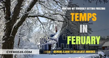 February's Freeze: Unraveling the Sudden Drop in Temperatures