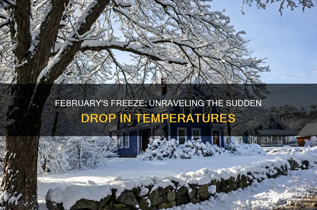 why are we suddenly getting freezing temps in feruary