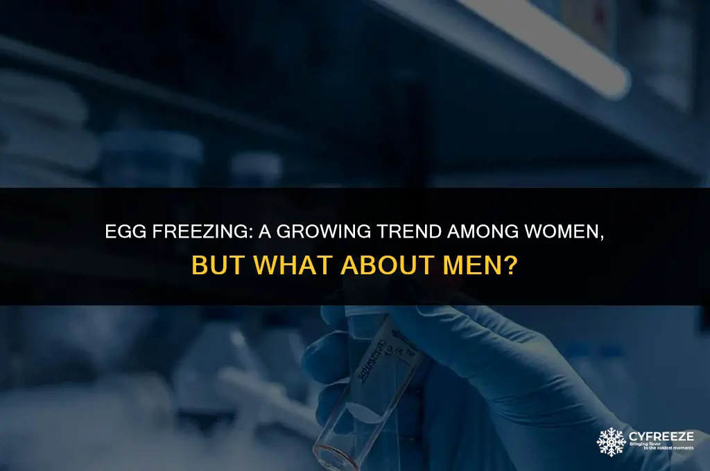 why are women freezing their eggs look to the men