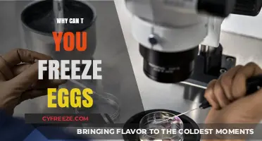The Surprising Science Behind Why You Can't Freeze Eggs
