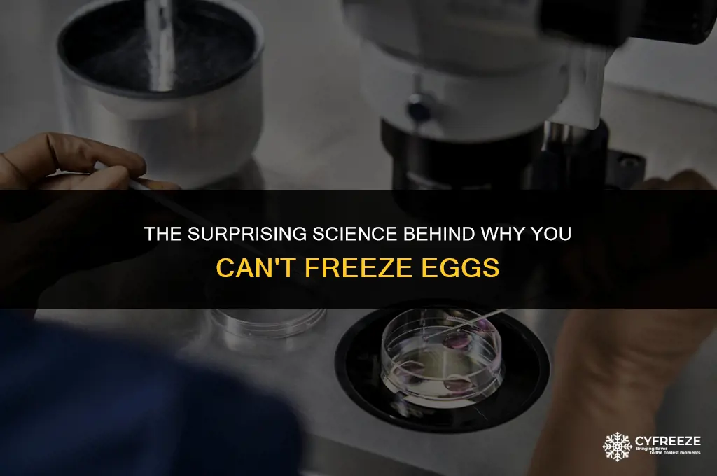 why can t you freeze eggs