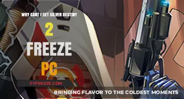 Fixing Destiny 2 Silver Freeze on PC: Troubleshooting Guide