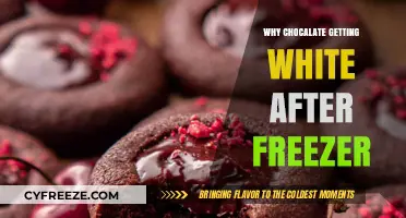 Why Chocolate Turns White After Freezing: The Science Explained