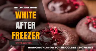 Why Chocolate Turns White After Freezing: The Science Explained