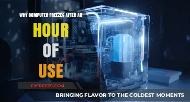 Why Does My Computer Freeze After an Hour of Use?