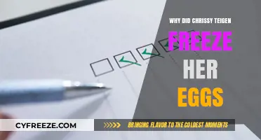 Chrissy Teigen's Egg Freezing Journey: A Personal Choice for Future Fertility