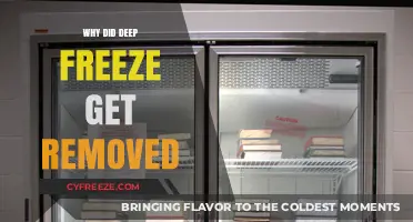 Why Deep Freeze Was Removed: Understanding the Decision and Impact
