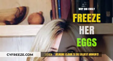 Emily's Choice: The Empowering Journey of Egg Freezing
