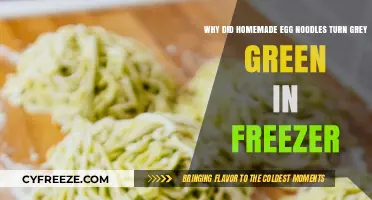 The Mystery of Grey-Green Homemade Egg Noodles in the Freezer