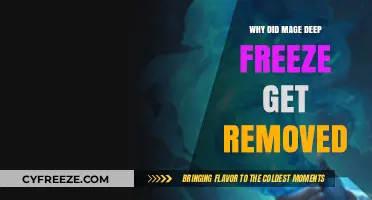 Why Mage Deep Freeze Was Removed: Analyzing the Decision and Impact