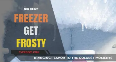 Why Your Freezer Gets Frosty: Common Causes and Quick Fixes