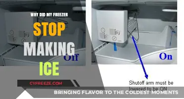 Troubleshooting Your Ice Maker: Common Issues and Solutions
