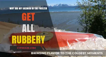 Why Your Frozen Salmon Turned Rubbery: Causes and Prevention Tips